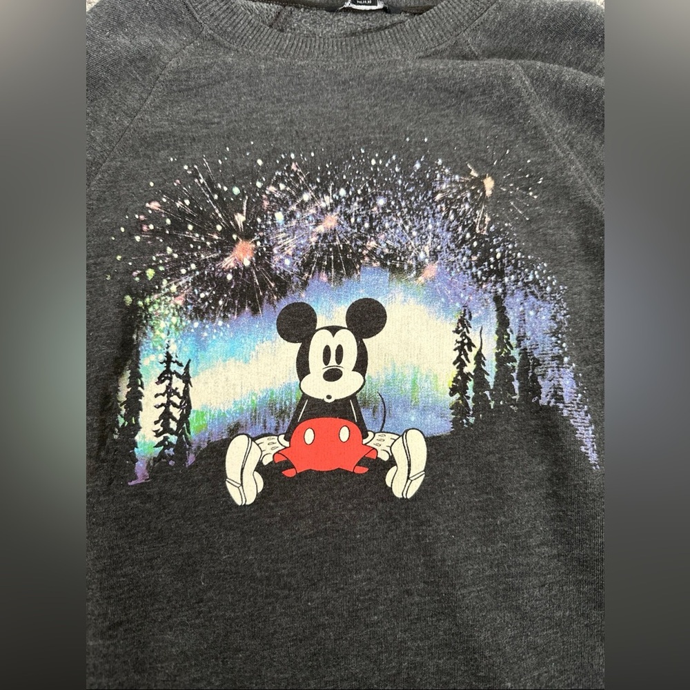 American Eagle x Disney Crewneck Sweatshirt